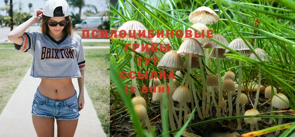 MDMA Алексин