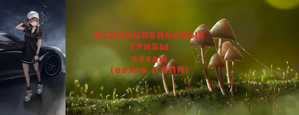стафф Абинск