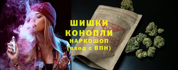 сатива Абаза