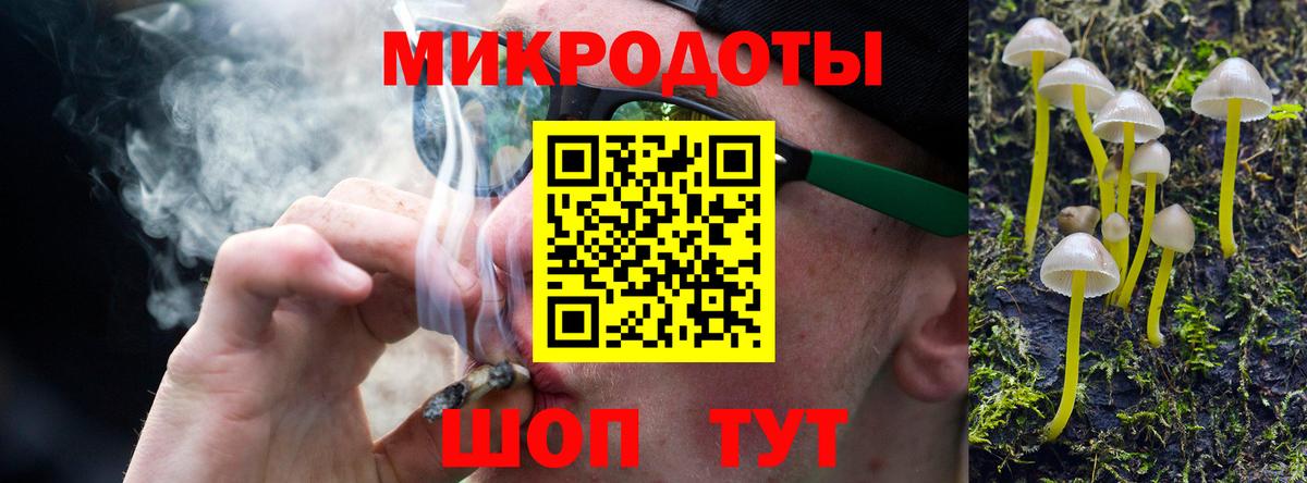 Красноуфимск  Галлюциногенные грибы Psilocybe  Вход с VPN 